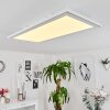Plafonnier Telsen LED Blanc, 2 lumières, Télécommandes, Changeur de couleurs