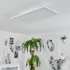Plafonnier Telsen LED Blanc, 2 lumières, Télécommandes, Changeur de couleurs
