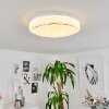 Plafonnier Nepes LED Blanc, 1 lumière