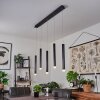 Suspension Freshwater LED Noir, 5 lumières