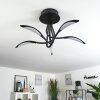 Plafonnier Oetling LED Noir, 1 lumière