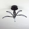 Plafonnier Oetling LED Noir, 1 lumière