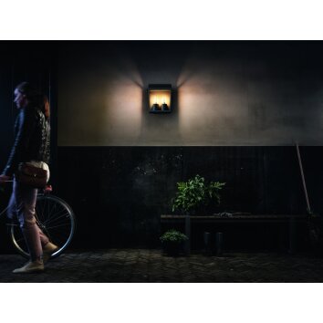 Applique murale d'extérieur Philips Harvest Noir, 2 lumières Applique murale d'extérieur Philips Harvest Noir, 2 lumières