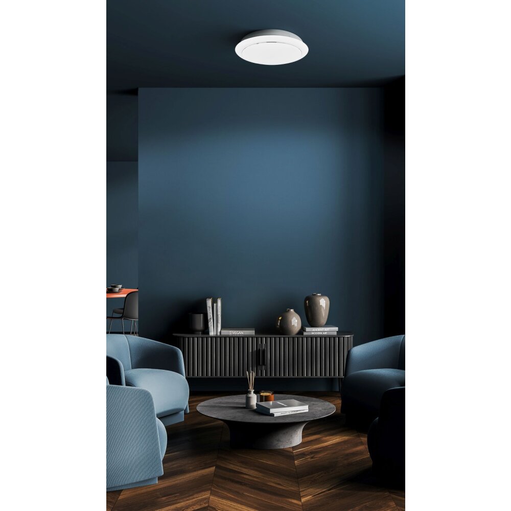 Plafonnier Fischer & Honsel Tivoli LED Blanc, 1 lumière main product photo