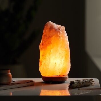Lampe de table Globo STONE Bois foncé, 1 lumière