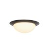 Plafonnier Steinhauer Ikaro LED Noir, 1 lumière