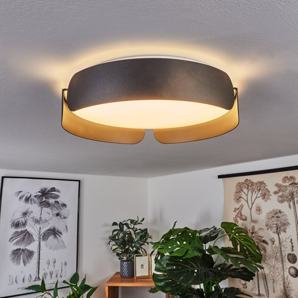 Plafonnier Fuscado LED Noir, 1 lumière main product photo