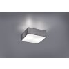 Plafonnier Trio Embassy Nickel mat, 2 lumières