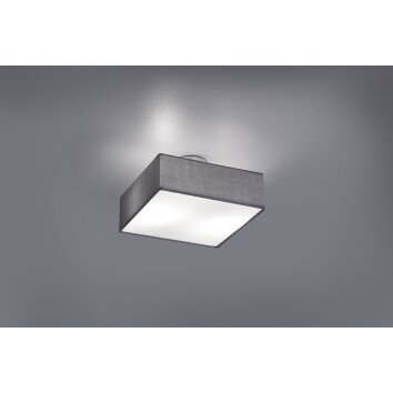 Plafonnier Trio Embassy Nickel mat, 2 lumières