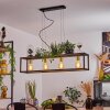 Suspension Woden Noir, 4 lumières
