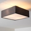 Plafonnier Trio Embassy Nickel mat, 2 lumières