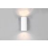 Applique murale d'extérieur Trio Roya Blanc, 2 lumières