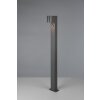 Borne lumineuse Trio Roya Anthracite, 1 lumière, Détecteur de mouvement