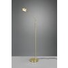 Lampadaire Trio Franklin LED Laiton, 1 lumière