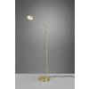 Lampadaire Trio Franklin LED Laiton, 1 lumière