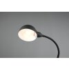 Lampe de table Trio Perry Noir, 1 lumière