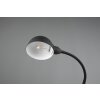 Lampe de table Trio Perry Noir, 1 lumière