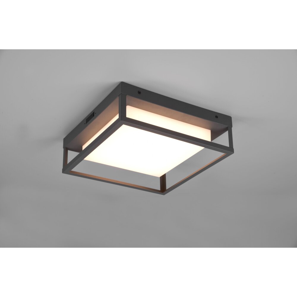 Plafonnier Trio Witham LED Anthracite, 1 lumière main product photo