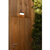 Applique murale d'extérieur Lutec FRAN LED Noir, 1 lumière, Détecteur de mouvement