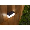 Applique murale d'extérieur Lutec FRAN LED Noir, 1 lumière, Détecteur de mouvement
