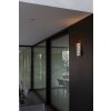 Applique murale d'extérieur Lutec RAN Zingué, 2 lumières