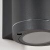 Applique murale d'extérieur Cebuentos Anthracite, 2 lumières