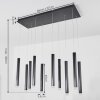 Suspension Freshwater LED Noir, 10 lumières