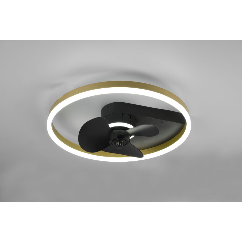 Ventilateur de plafond Reality Borgholm LED Or, Noir, 1 lumière, Télécommandes main product photo