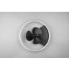 Ventilateur de plafond Reality Borgholm LED Or, Noir, 1 lumière, Télécommandes