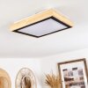 Plafonnier Corinto LED Écru, Noir, 1 lumière