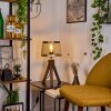 Lampe de table Tomaca Laiton, Écru, 1 lumière