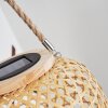 lampe solaire Conneaut LED Brun, Bois clair, 1 lumière