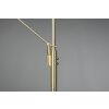 Lampadaire Trio Franklin LED Laiton, 2 lumières