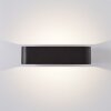 Applique murale d'extérieur Brilliant Golda LED Noir, 1 lumière