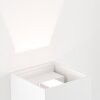 Applique murale d'extérieur Brilliant Isak LED Blanc, 1 lumière