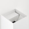 Applique murale d'extérieur Brilliant Isak LED Blanc, 1 lumière