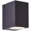 Applique murale d'extérieur Brilliant Burk LED Noir, 1 lumière