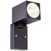 Applique murale d'extérieur Brilliant Burk LED Noir, 1 lumière