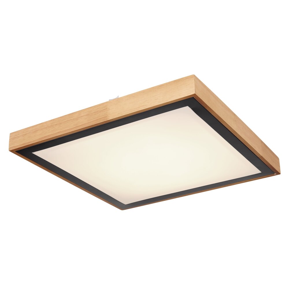 Plafonnier Globo BRUNO LED Blanc, 1 lumière main product photo
