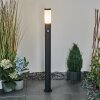 Borne lumineuse Ruti Noir, 1 lumière, Détecteur de mouvement