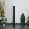 Borne lumineuse Ruti Noir, 1 lumière