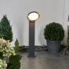 Borne lumineuse Kelo LED Anthracite, 1 lumière