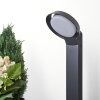 Borne lumineuse Kelo LED Anthracite, 1 lumière