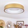 Plafonnier Playas LED Or, Blanc, 1 lumière
