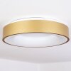 Plafonnier Playas LED Or, Blanc, 1 lumière