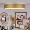 Plafonnier Playas LED Or, Blanc, 1 lumière