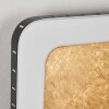 Applique murale Guacacallo LED Or, Noir, Blanc, 1 lumière