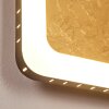 Applique murale Guacacallo LED Or, Noir, Blanc, 1 lumière