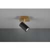 Applique murale Trio MARLEY Noir doré, 1 lumière