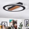 Plafonnier Katila LED Brun, Noir, 1 lumière